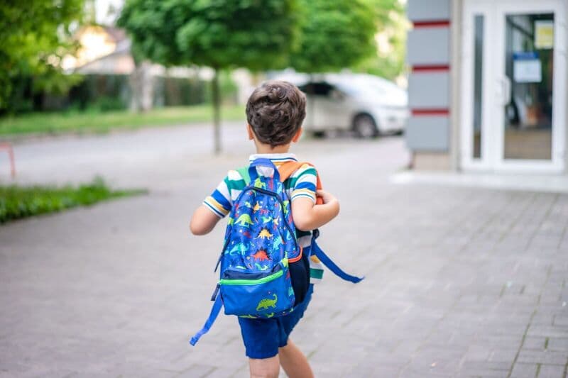 Vista posteriore di un bambino con uno zaino a forma di dinosauro colorato che cammina su un marciapiede in un'area suburbana.