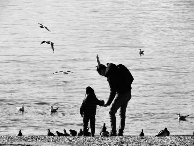 Silhouette di un padre e di un bambino sulla riva, circondati da uccelli.