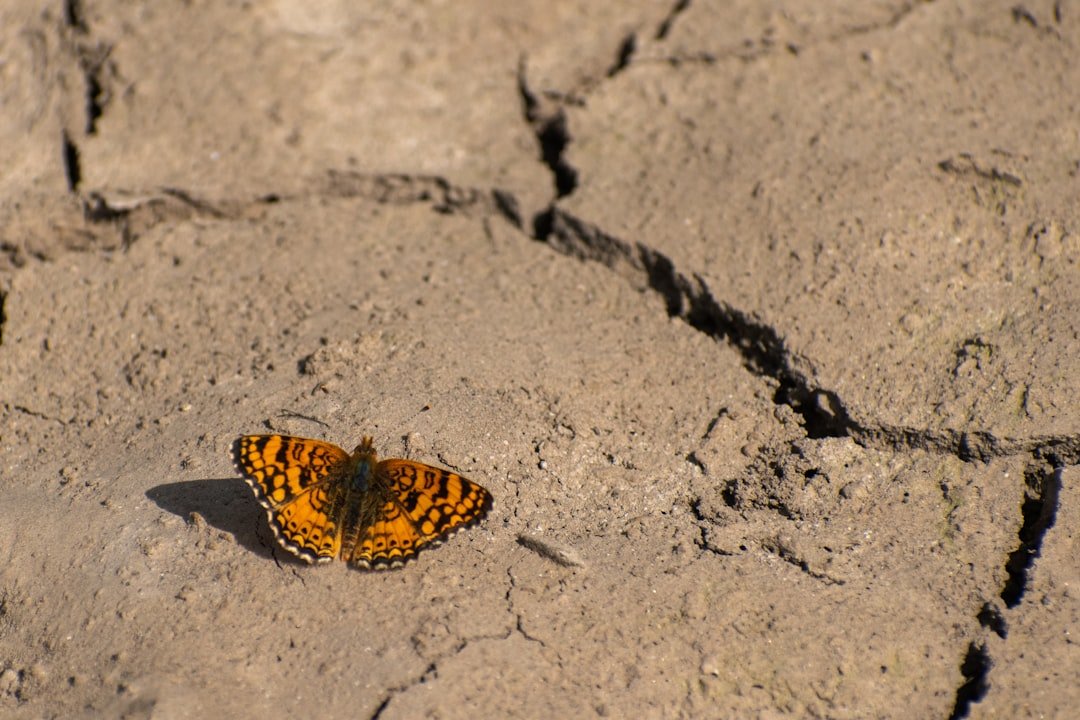 esercizi anca - Guida Ri-Hub