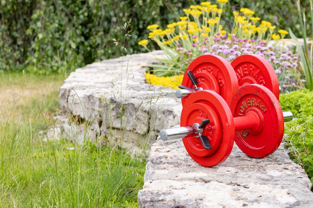 esercizi eccentrici - Guida completa Ri-Hub teleriabilitazione