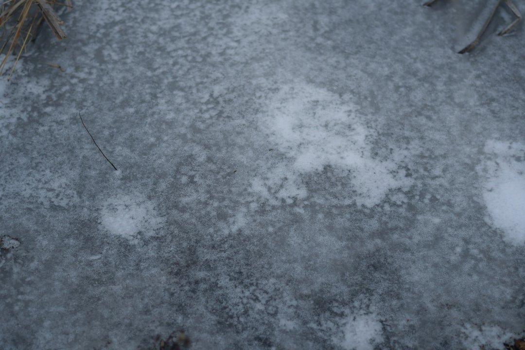 capsulite cause - Guida completa Ri-Hub teleriabilitazione