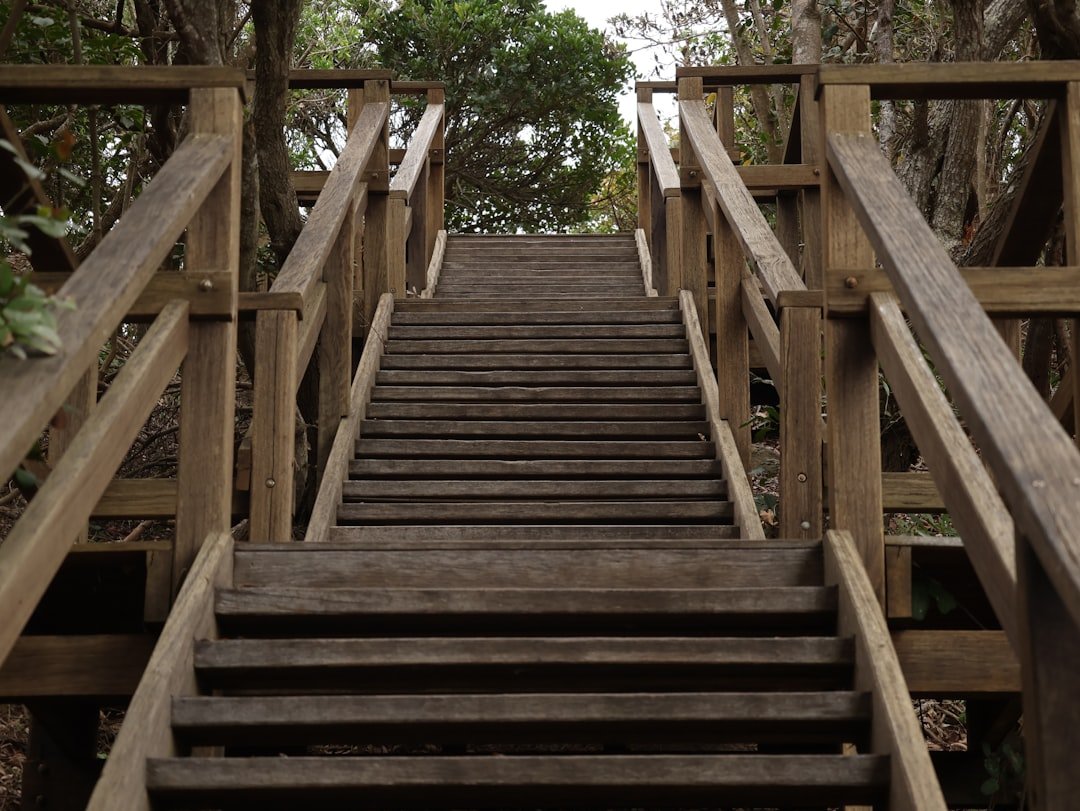 dolore ginocchio salire scale - Esercizi e rimedi | Ri-Hub