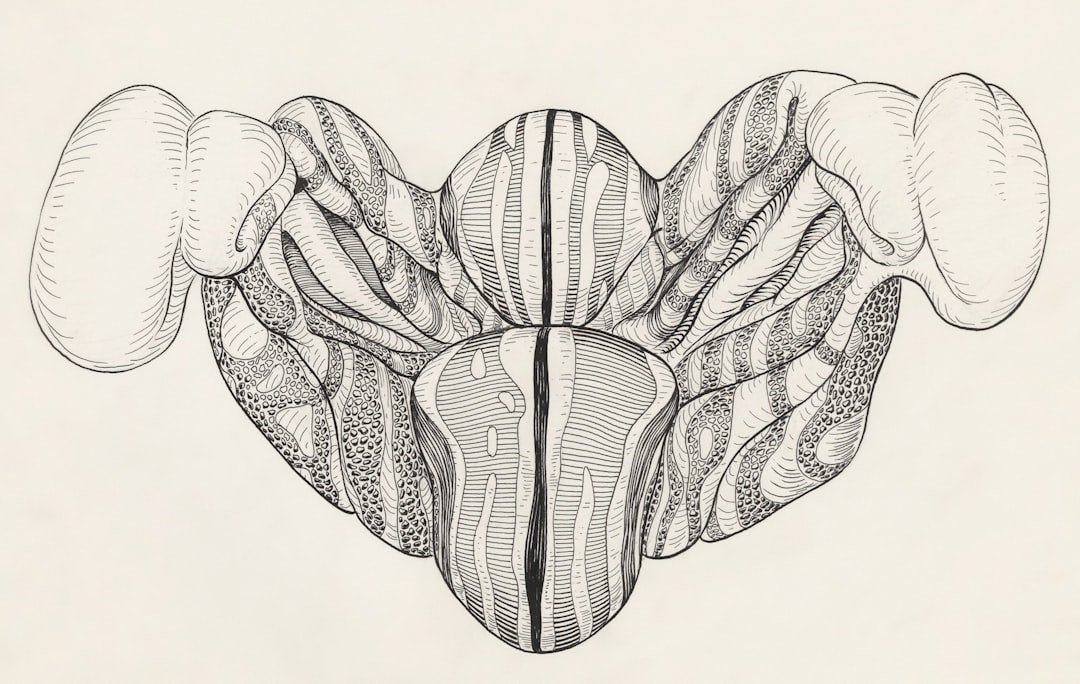 quadrato dei lombi stretching - Esercizi e rimedi | Ri-Hub