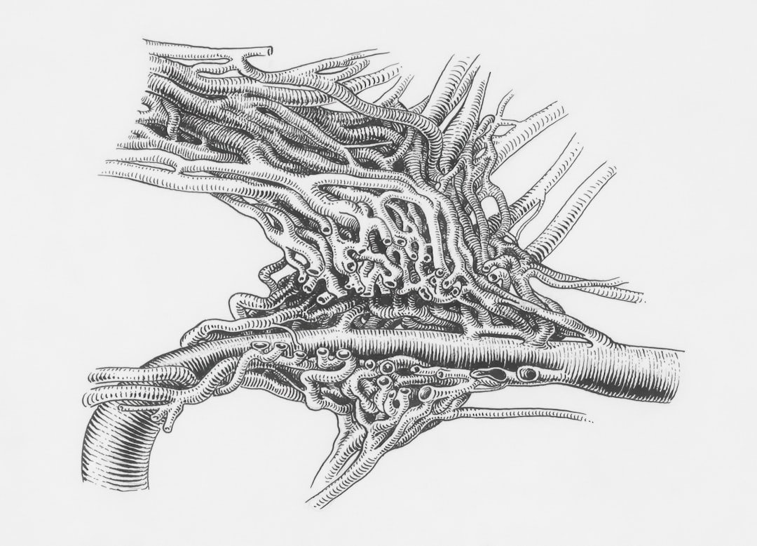 esercizi sternocleidomastoideo - Guida completa Ri-Hub teleriabilitazione